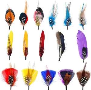 16 Pcs Hat Feathers for Fedora, Assorted Colorful Feathers Party Accessories for Cowboy, Trilby Hats