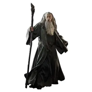212 MAIN Advanced Gandalf The Hobbit Cardboard Cutout, Home Decor, Room Decor, Cardboard Cutouts, Includes Easel