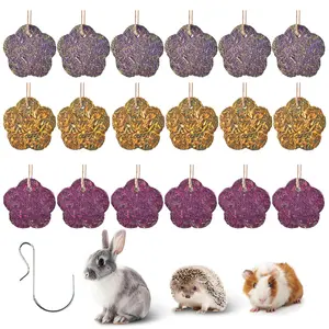 18PCS Rabbit Chew Cakes Hanging Chew Sticks & Cakes Timothy Hay Carrot Strawberry Treat for Bunny Chinchilla Guinea Pig Hamster Small Pets Molar Snack Toy