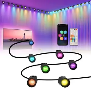 HEDCINLT 12PACK LED RGBIC String Downlights Smart App Control Music Sync Color Changing Indoor Wall Light Fixture 15FT Decoration Lights for Party Black