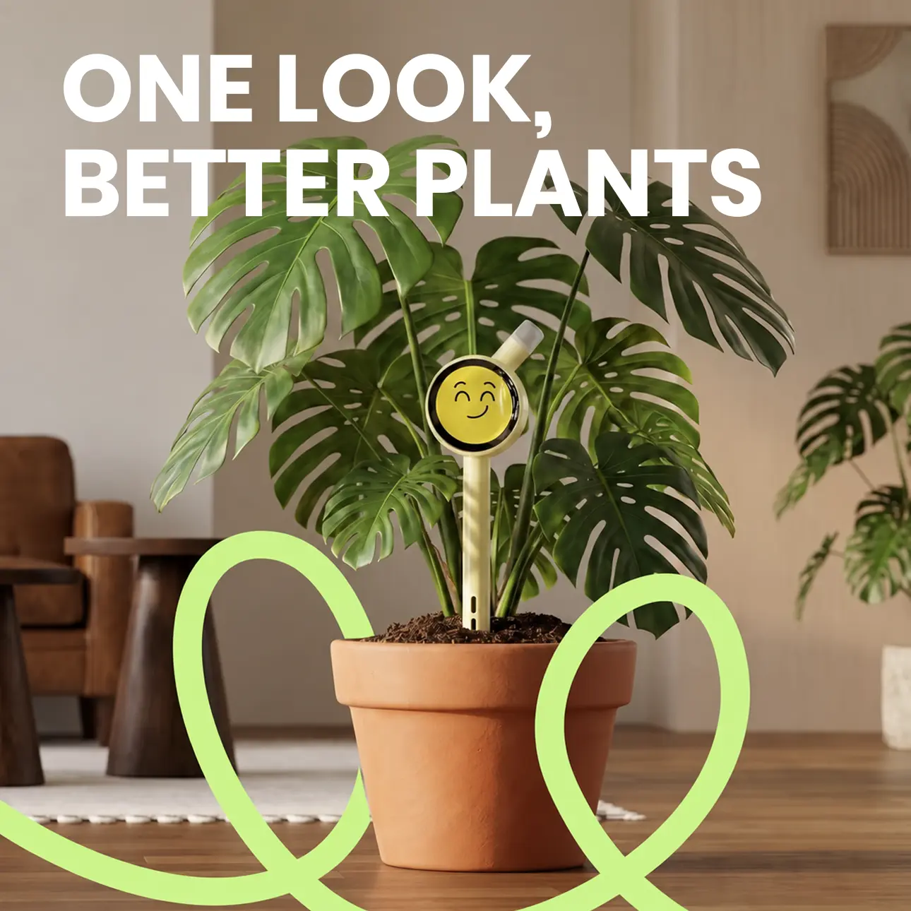 Plantiemoji Smart Plant Monitor – AI Plant Care Sensor for Soil Moisture, Light, Temperature & Humidity