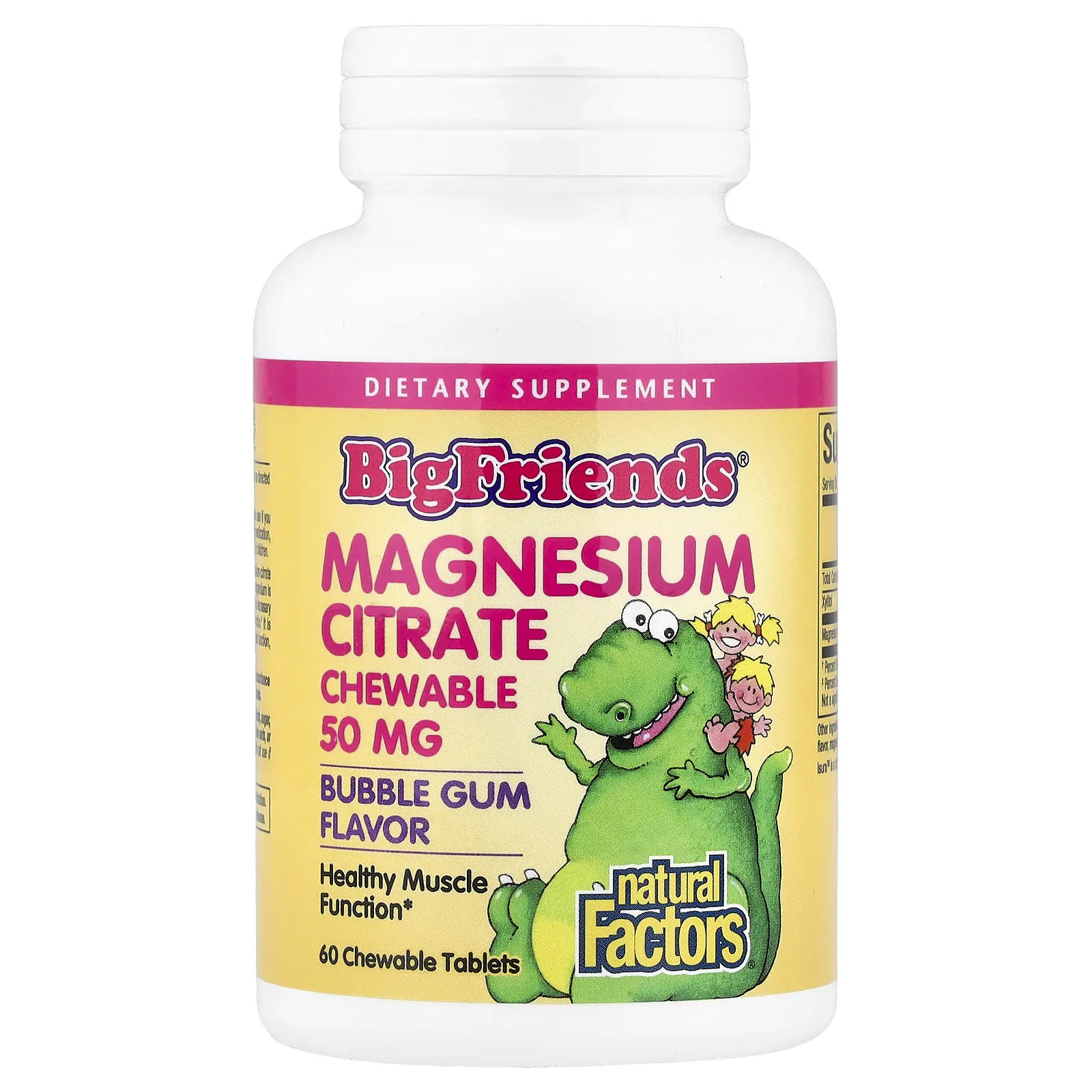 Natural Factors Big Friends®, Magnesium Citrate, Bubble Gum, 50 mg, 60 Chewable Tablets