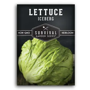 Iceberg Lettuce Seed for Planting - High Germination Rate