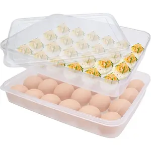 2 Pack Covered Egg Holder,Clear Egg Holder Storage Container,Stackable Plastic Refrigerator Egg Trays for Deviled Egg,Protect and Keep (48 Eggs)