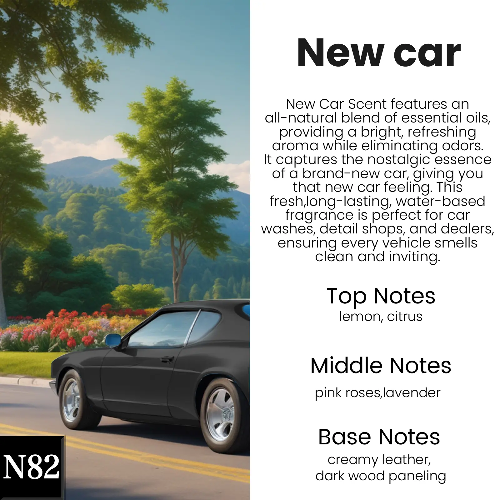 N82-New Car