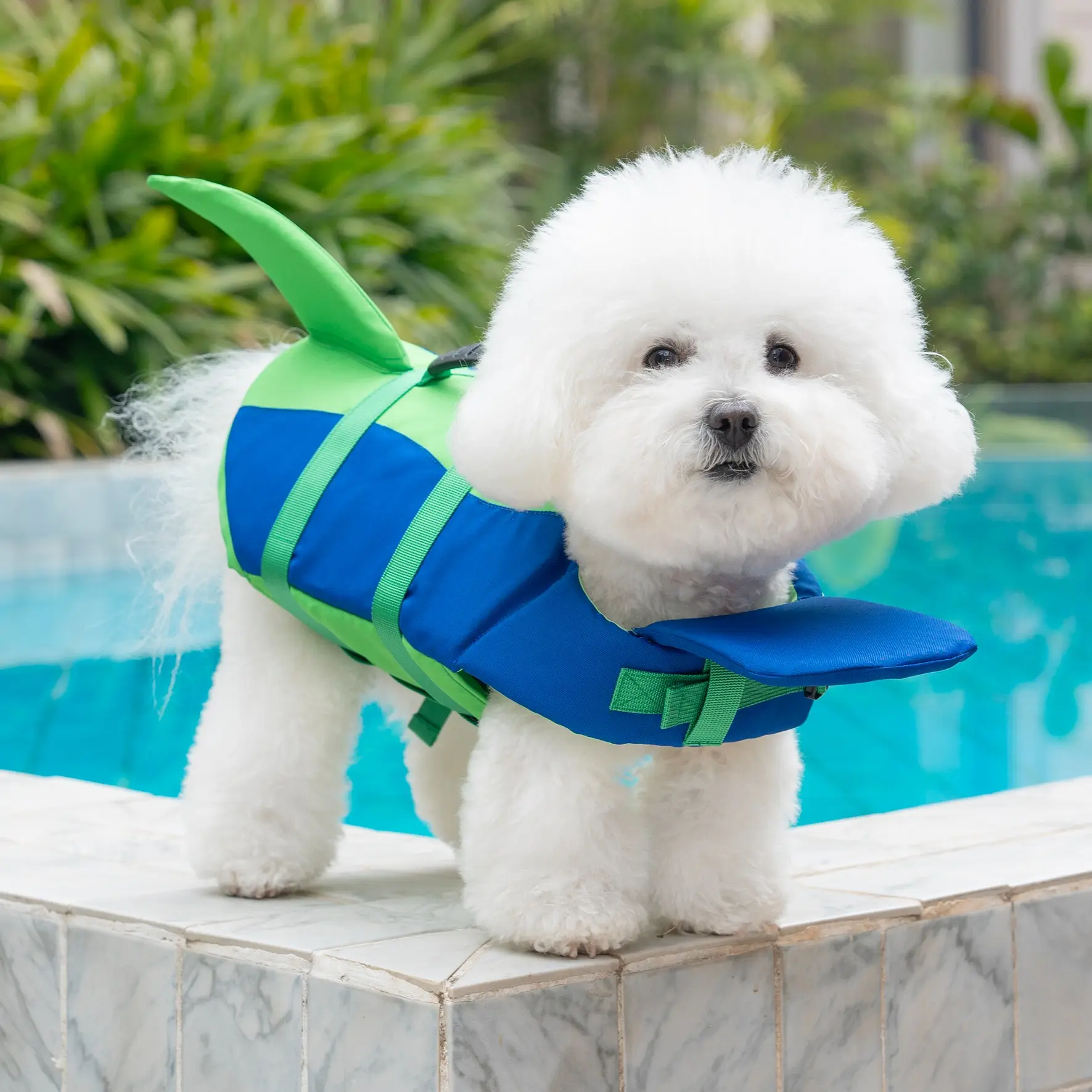 Dog clothing, animal clothing, big dog swimming suit, big dog life jacket, Outdoor, small and large pets can wear small animal swimming suit, handheld trial, big dog clothing, small dog diving suit, life jacket, British style clothing