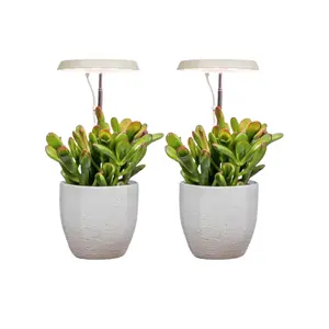 AeroGarden Stem Grow Light for Indoor Plants