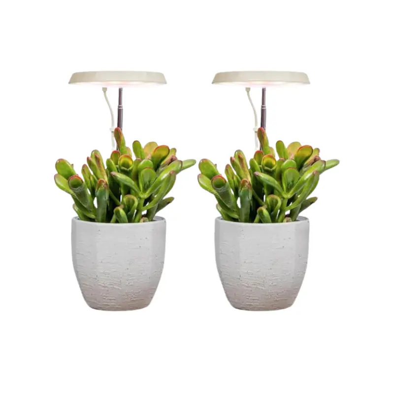AeroGarden Stem Grow Light for Indoor Plants