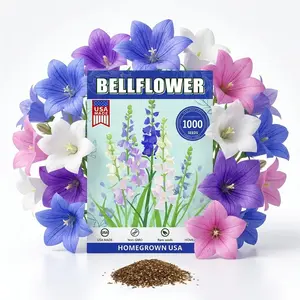1000pcs Canterbury Bells BELLFLOWER Seeds, Campanula Rainbow Fragrant Deluxe Faerie Queen Variety, Elegant Rare Beauty Mix-Color seeds for Indoor or Outdoor Garden Non GMO