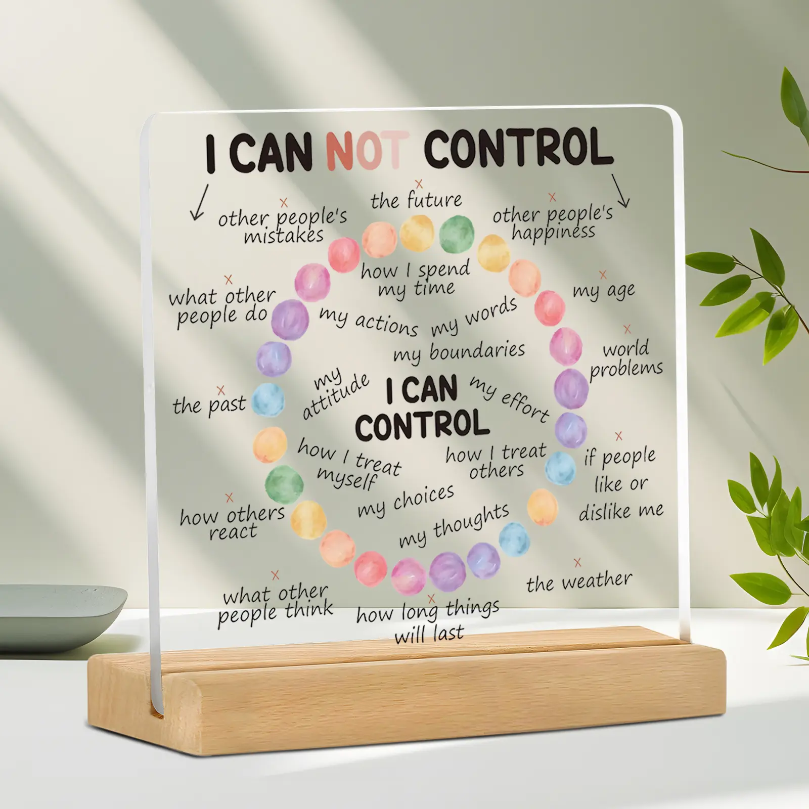 Mental Health Acrylic Plaque Sign, Therapy Office Decor, I Can Control My Classroom, School Counselor Gift, Home Office Decoration, Teacher Decor, Acrylic desktop decoration, Acrylic Signage Plaque, Decorative Plaque Sign