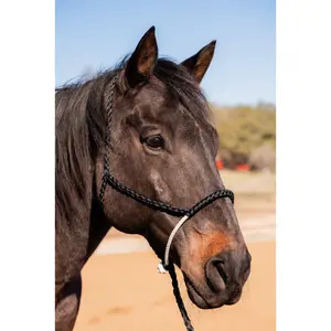 Black Lariat Noseband Mule Tape Halter
