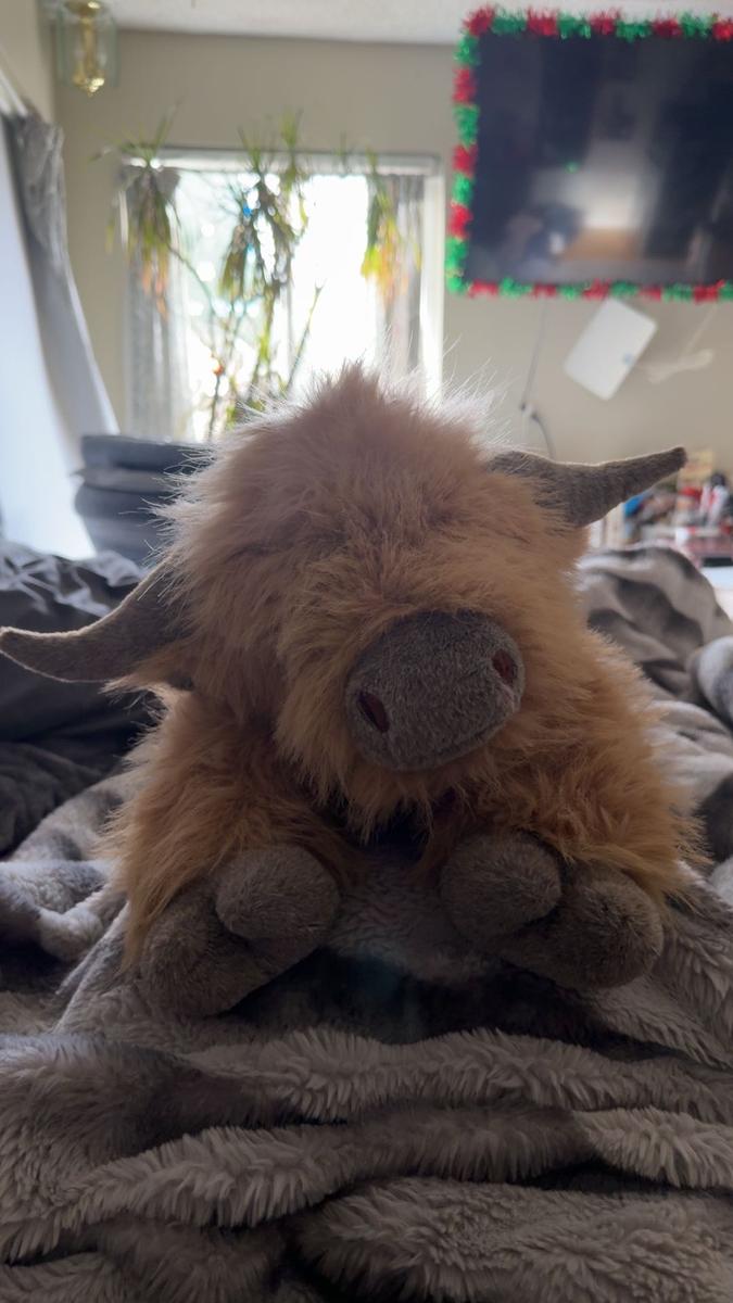 Item: Highland Cow, 20" | 4 Pounds