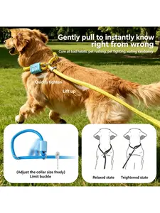 Durable Dog Leash for Medium and Large Dogs | Comfortable Training and Walking Lead for Daily Outdoor Activities