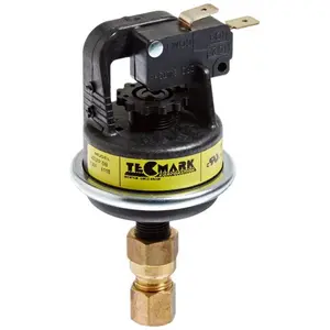 Raypak  Pressure Switch Pool Kit