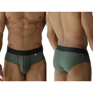 Microfiber Mesh Briefs