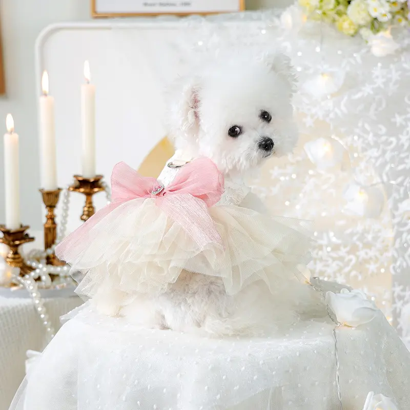 dog dresses for wedding - TikTok Shop