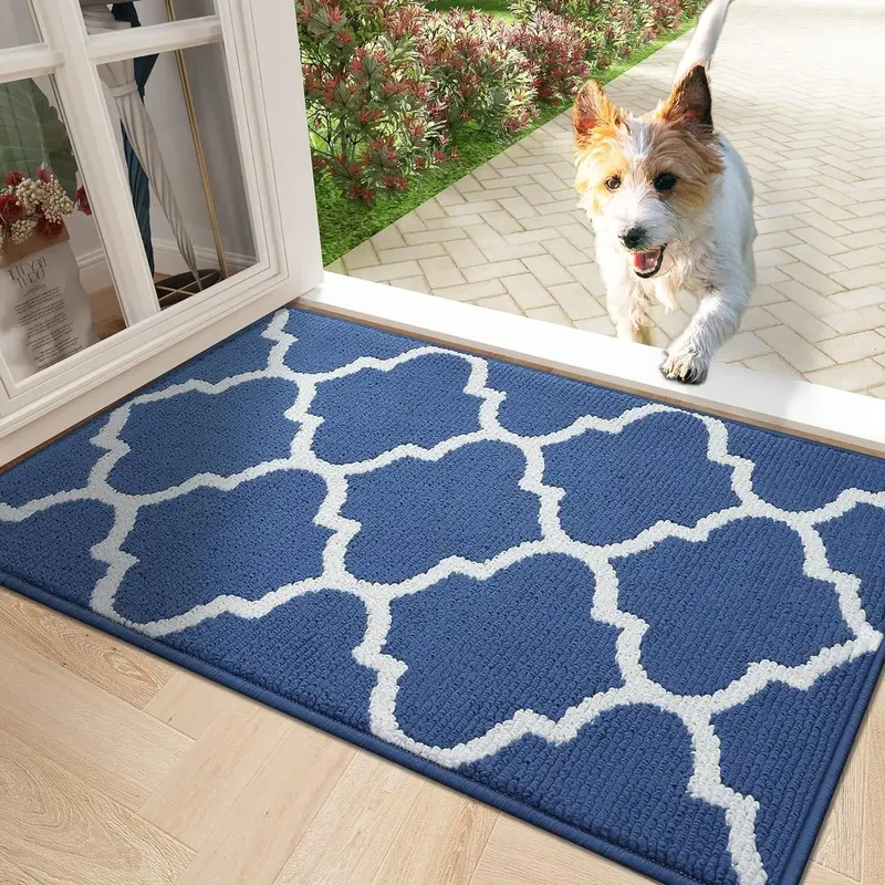 Abaseen Dirt Trapper Door Matts Indoor - TikTok Shop