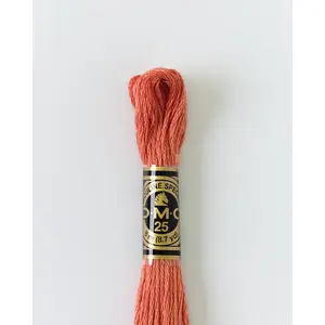 DMC Embroidery Stranded Thread - Six-Strand Embroidery Floss - 21 - Prosciutto
