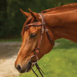 Schneiders Basketweave Futurity Browband Ranch Headstall