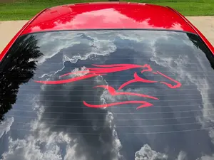 ️ Sleek Running Horse Vinyl Car Decal 28" X 10.5"