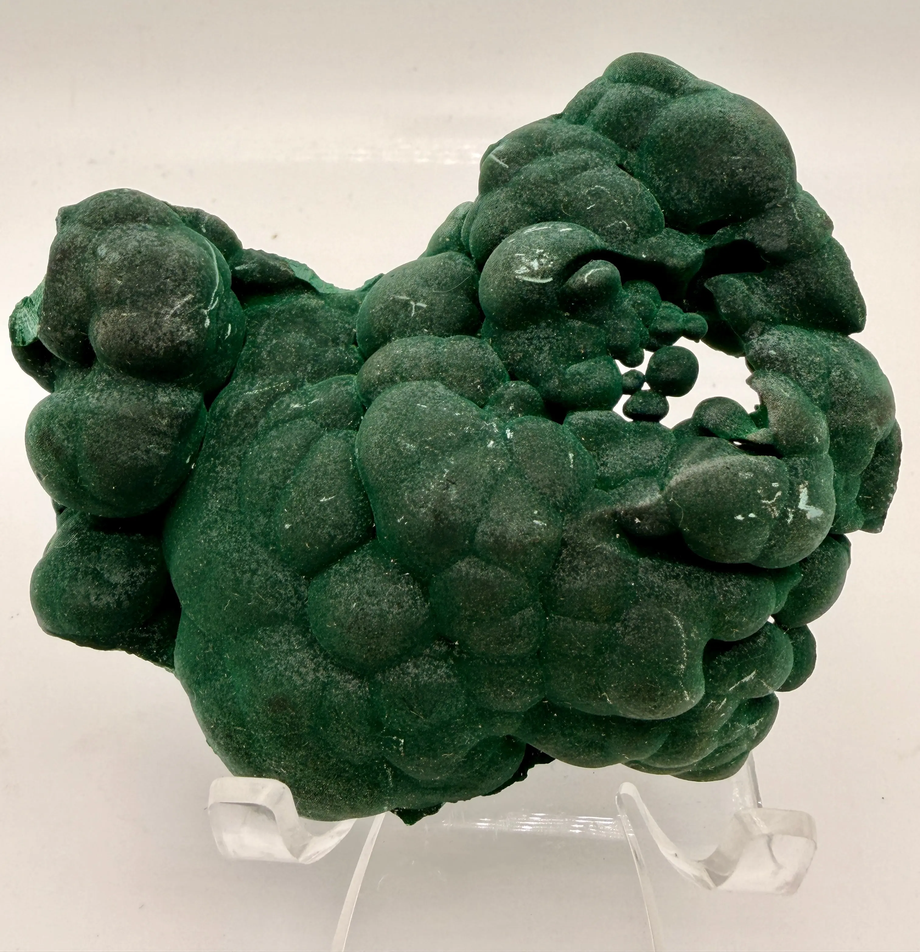 Botryoidal Malachite