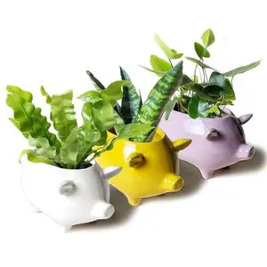 Pig Planter - Yellow