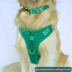 Adjustable Dog Harness with Gold Buckle and Attachments | Breathable Mesh (XS-S-M-L)