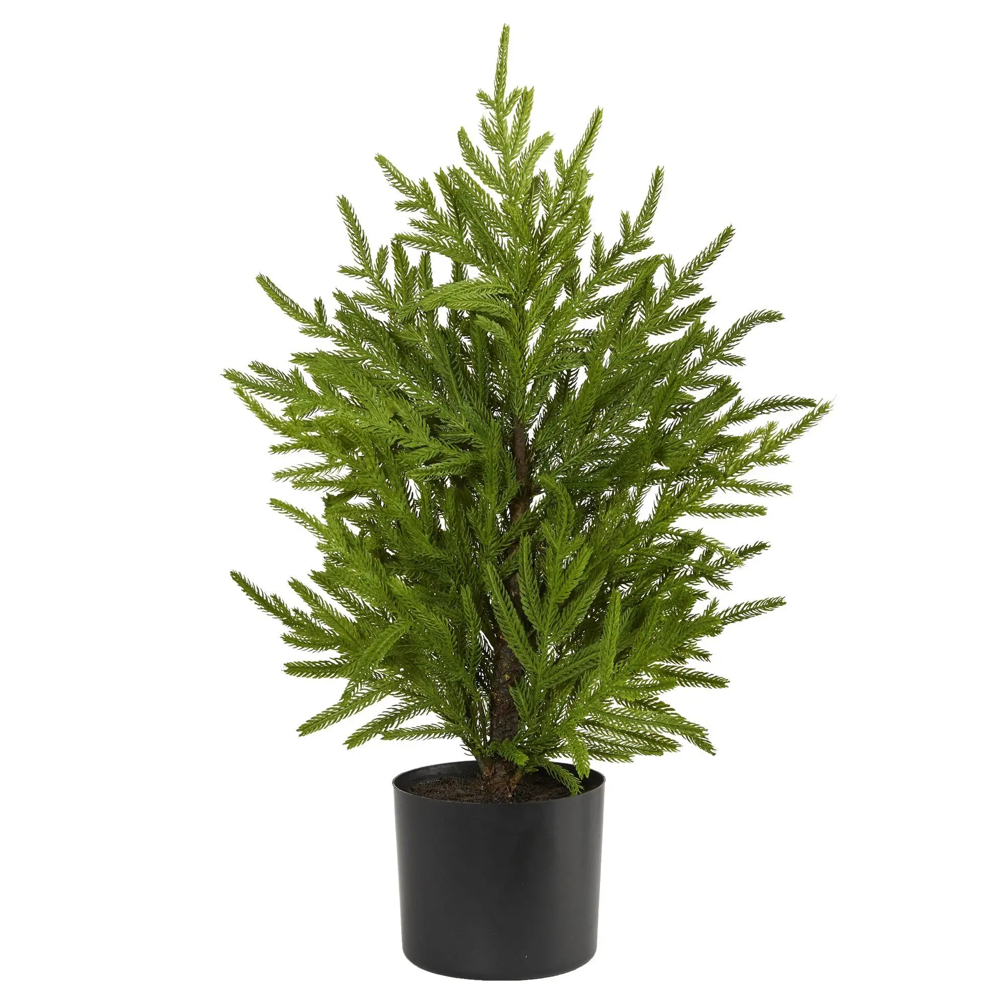 2ft Synthetic Norfolk Island Pine, Artificial Christmas Tree for Home Decor, Room Decor Plants