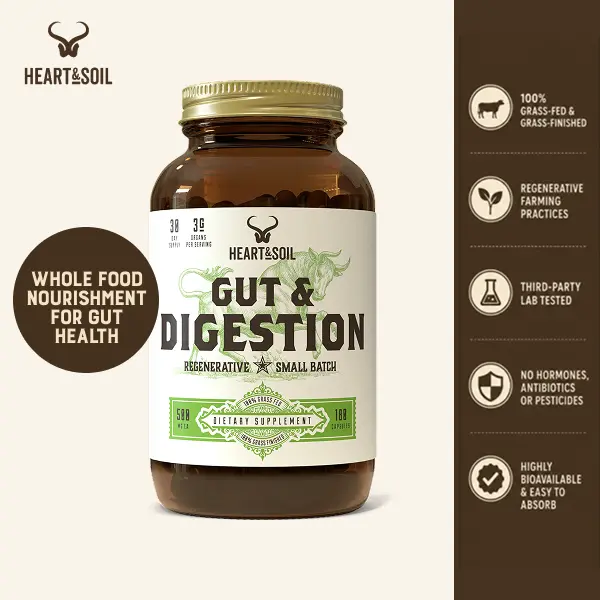 Gut & Digestion