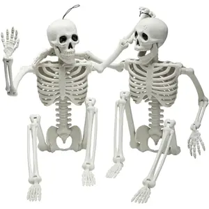 2 PCS 24 Halloween Skeleton Decor, 2 FT Full Body Stayable Posable Skeletons for Halloween, White Human Plastic Bones with Movable Joints for Spooky Indoor Outdoor Decoration, Graveyard Prop