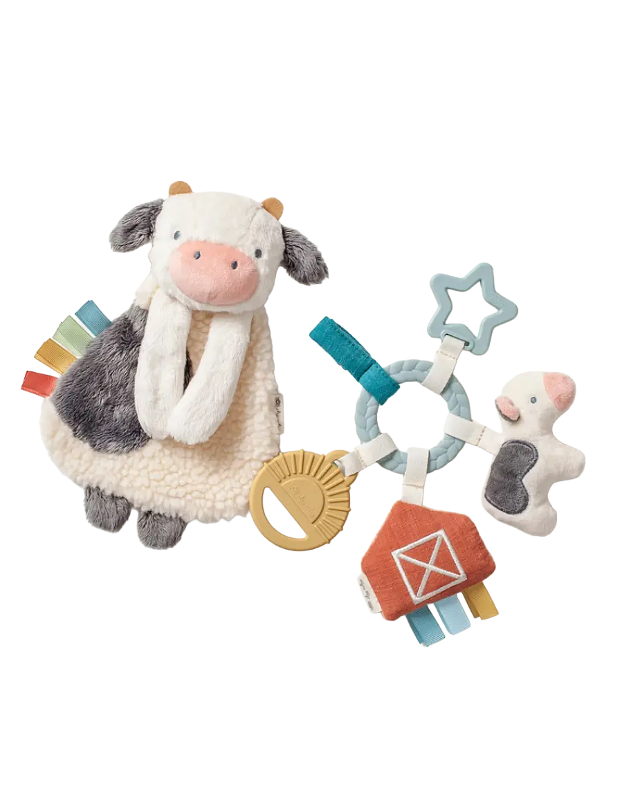 Itzy Ritzy Bitzy Busy Baby Gift Set - Polyester Animal Textured Teether, Itzy Lovey, Baby Teething Rings (0.56lb)