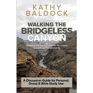 USED-Walking the Bridgeless Canyon: Repairing the breach between the Church and the LGBT community: A Discussion Guide for Personal, Group & Bible Study U by Baldock, Kathy (Paperback)
