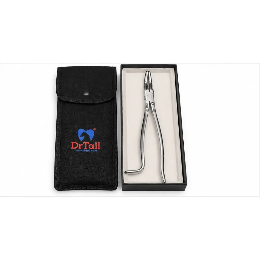 Angled Serrated Cap & Incisor Extraction Forceps – 12" Stainless Steel