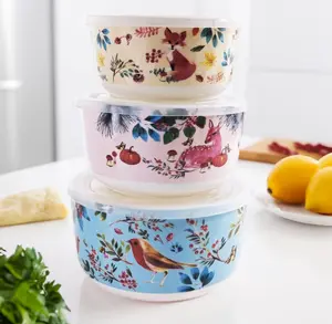 3 Pcs Ceramic Bowls Set ,Food Storage Set, Floral Bird Design BPA Free