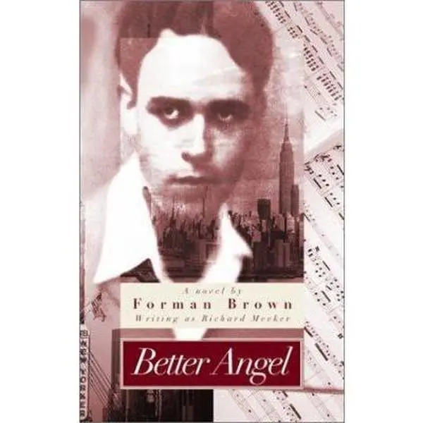 Used Soft Cover Book - Better Angel by Richard Meeker, English Gay Classic, Best Coming Out Story, Young Man's Discovery of His Sexuality
