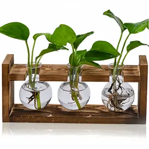 Desktop Plant Propagation Station,Plant Terrarium with Retro Wooden Stand, Unique Gardening Birthday Gifts for Women Plant Lovers, Hydroponics Plants Home Office Garden Decor - 3 Bulb Glass Vases