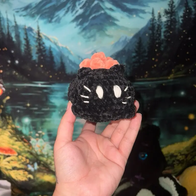 Sushi cat