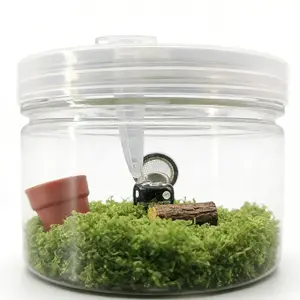 Clear Mini Jumping Spider Enclosure Kit (With Feeding Hole + Water Port + Tools)| Small Reptile Habitat Box + Spray Bottle + Tweezers + Dropper