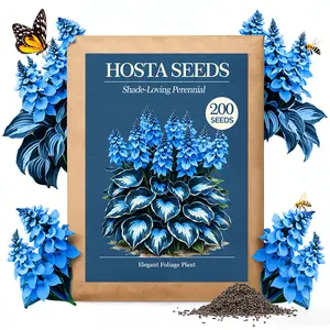 [New] Hosta Seeds,Low-Maintenance Decorative Foliage Plants,Great for Beginner Gardeners