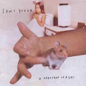 Sonic Youth - Thousand Leaves  [COMPACT DISC - CD]