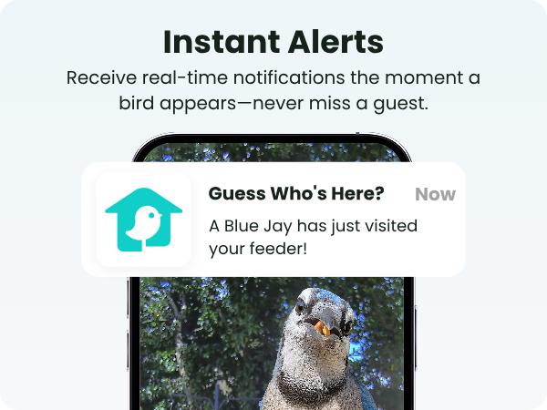 Birdfy Smart Bird Feeder with Camera Solar Powered, Night Insight & Slow-Motion Video for Outdoors & Backyard Birds Watching, AI Identify 6000+ Species , Wood Birdfy Smart Bird Feeder with Camera Solar Powered, Night Insight & Slow-Motion Video for Outdoors & Backyard Birds Watching, AI Identify 6000+ Species , Wood