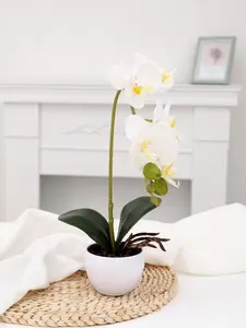 White Butterfly Orchid Ceramic Pot - 1pc for Home Decor, Perfect Valentine's Day Gift