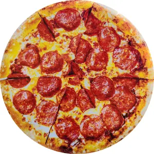 Custom Pizza Disc Golf Disc