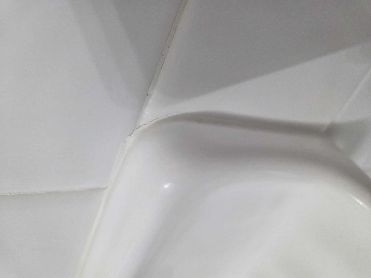 Item: Mold Remover Gel 210g with Scrub Brush