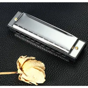 Beginner 10-Hole C Key Blues Harmonica with Mirror Surface, High-Appearance Wind Instrument for Children's Early Education & Sensory Development, 1/2/4-Piece Set, Wind Instruments