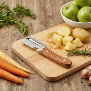 2 PCS All In One Peeler Viral Kitchen Gadget  2-in-1 Vegetable Peeler  for Potato Fruit Pineapple Pumpkin Papaya Carrot Veggie Peeler Easy & Fast Peeling Tool