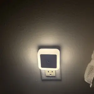 Customer photo of night light with second outlet available