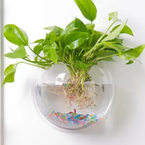 Wall-mounted fish tank, wall-mounted flower vase and flower pot, creative wall goldfish tank