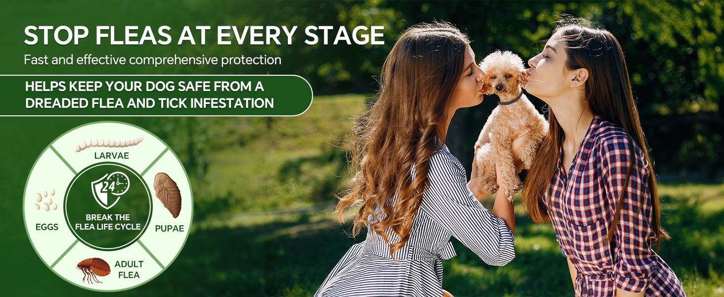 Dog & Cat Flea and Tick Prevention Collar with Natural Essential Oil, 4 Pcs Flea, Tick, Larvae Repellent Collars for Dogs Cats 32 Months Protection, Waterproof Adjustable Collar One Size Fits All Sizes Breeds, Odorless & Non-Greasy