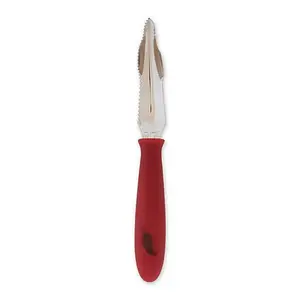 RSVP Jalapeno Corer – Sold by HSN